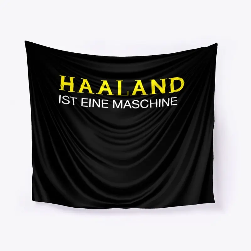 Haaland ist eine Maschine