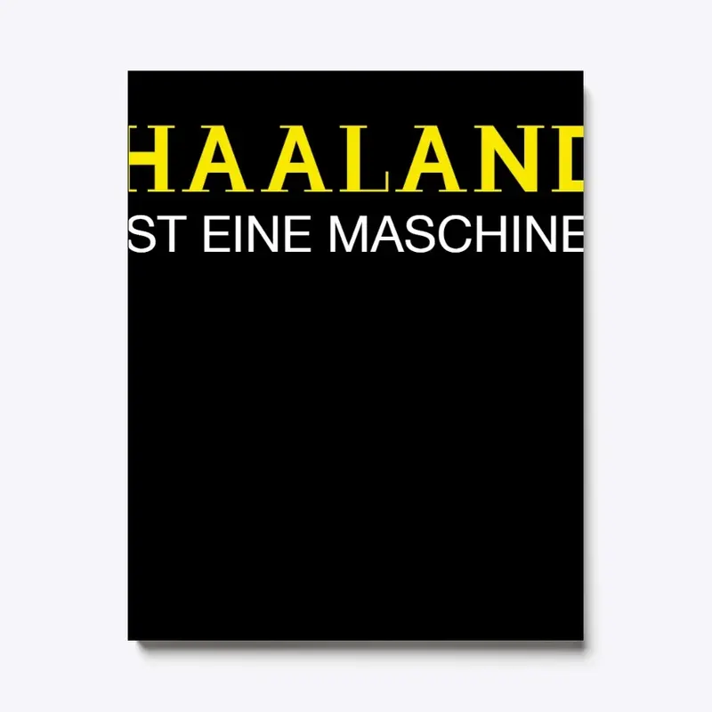 Haaland ist eine Maschine